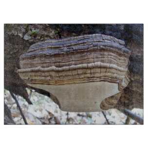 Phellinus igniarius Mushroom Glass Chopping Board Schneidebrett