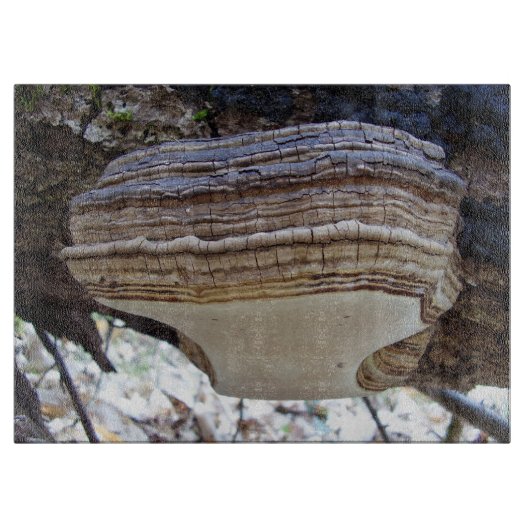 Phellinus igniarius Mushroom Glass Chopping Board Schneidebrett (Vorderseite)