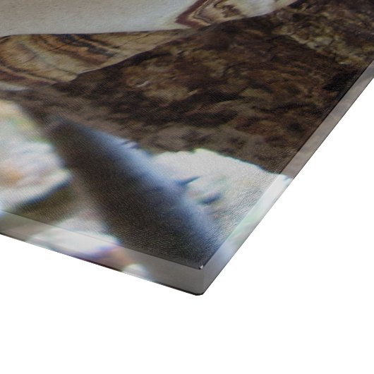 Phellinus igniarius Mushroom Glass Chopping Board Schneidebrett (Ecke)