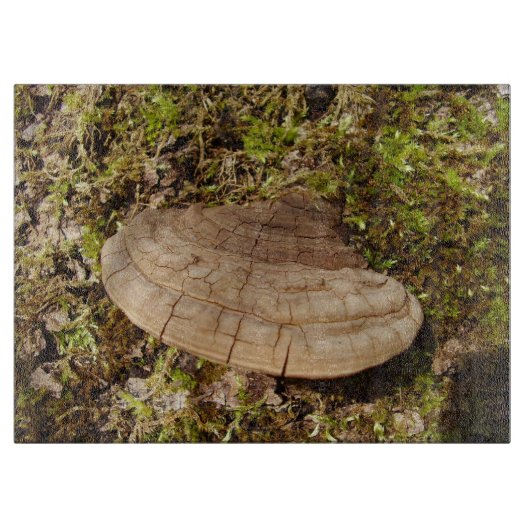 Phellinus igniarius Mushroom Glass Chopping Board Schneidebrett (Vorderseite)