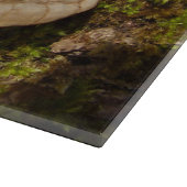 Phellinus igniarius Mushroom Glass Chopping Board Schneidebrett (Ecke)