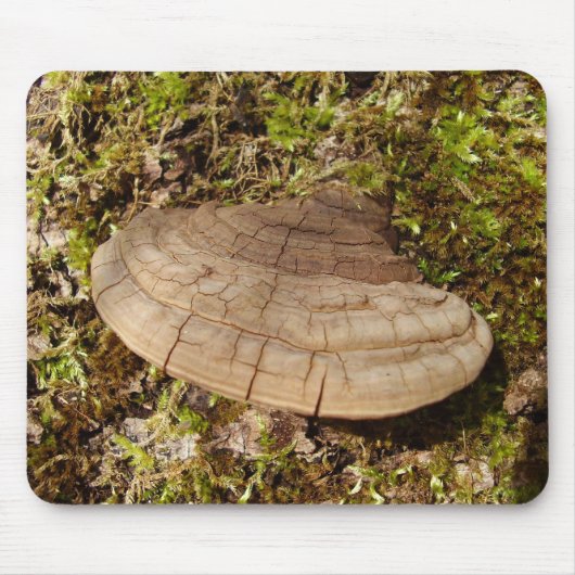 Phellinus igniarius Mushroom Mouse Mat Mousepad (Vorne)