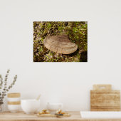Phellinus igniarius Mushroom Poster (Küche)