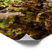 Phellinus igniarius Mushroom Poster (Ecke)