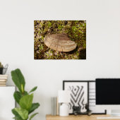 Phellinus igniarius Mushroom Poster (Heimbüro)