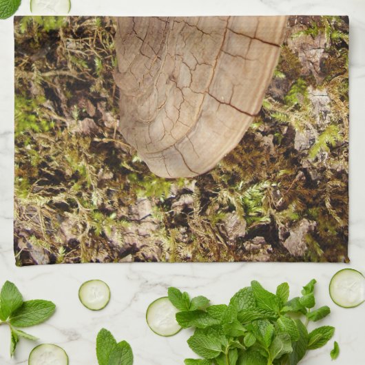 Phellinus igniarius Mushroom Teetuch Geschirrtuch (Gefaltet)