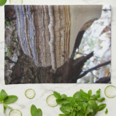 Phellinus igniarius Mushroom Teetuch Handtuch (Gefaltet)