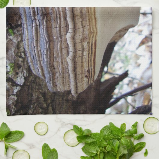 Phellinus igniarius Mushroom Teetuch Handtuch (Gefaltet)