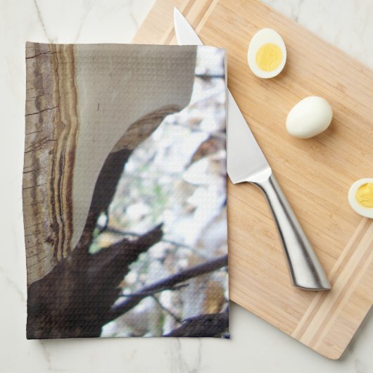 Phellinus igniarius Mushroom Teetuch Handtuch (Viertel Falte)