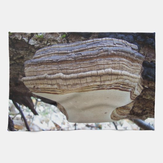 Phellinus igniarius Mushroom Teetuch Handtuch (Horizontal)