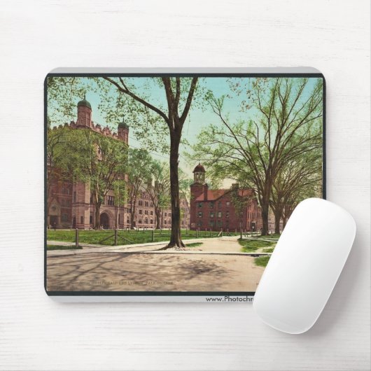 Phelps Hall und Lehrsaal, Yale-Uni seltenes Mousepad (Mit Mouse)