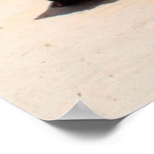 Phi Phi Insel Poster (Ecke)