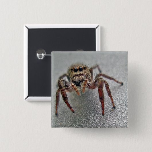 Phiddipus Jumping Spider Series Matching Items Button (Vorne & Hinten)