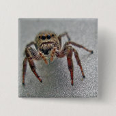 Phiddipus Jumping Spider Series Matching Items Button (Vorderseite)