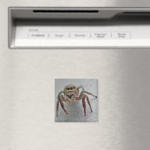 Phiddipus Jumping Spider Series Matching Items Magnet (In Situ (Geschirrspüler))