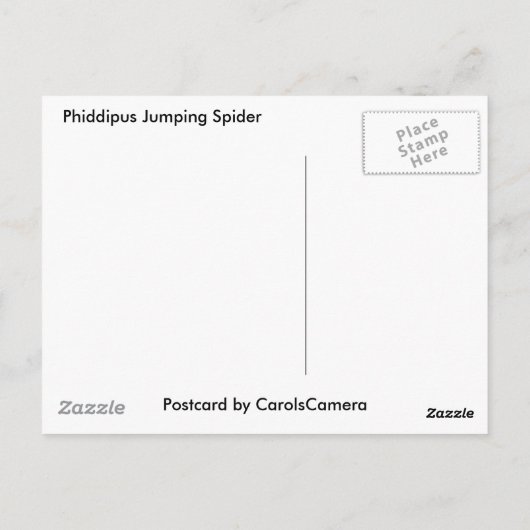 Phiddipus Jumping Spider Series Matching Items Postkarte (Rückseite)