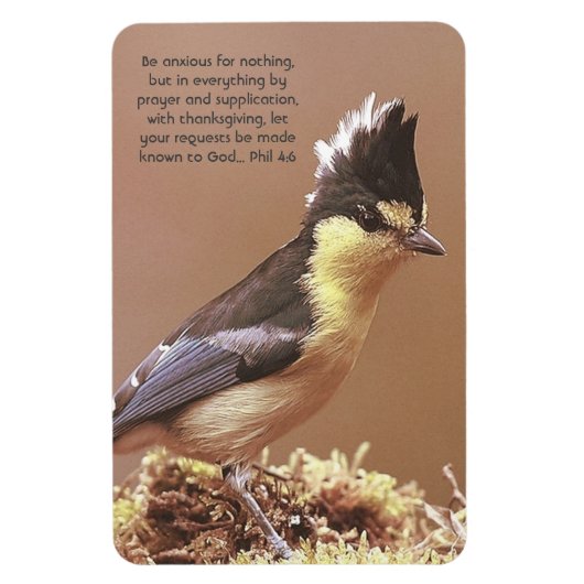 "Phil 4:6" Glaube an das Ängstlichkeits-Gebet Magnet (Vertikal)