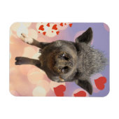 Phil Valentinstag Magnet (Horizontal)