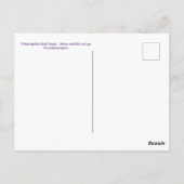 Philadelphia Bald Eagle Postkarte (Rückseite)