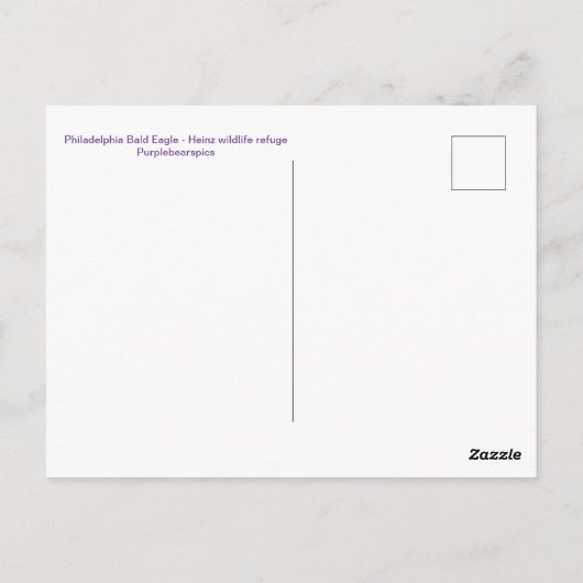 Philadelphia Bald Eagle Postkarte (Rückseite)