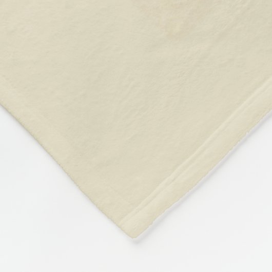 Philadelphia | Benjamin-Franklin-Institut Fleecedecke (Ecke)