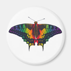 Philadelphia Rainbow Pride Flag Frack Magnet