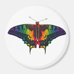Philadelphia Rainbow Pride Flag Frack Magnet