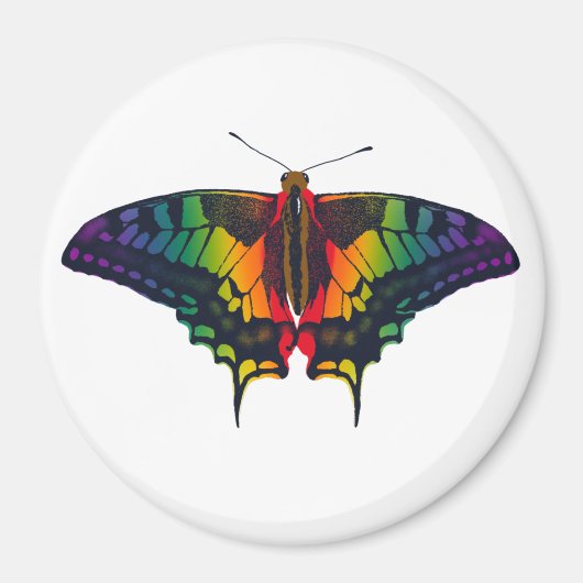 Philadelphia Rainbow Pride Flag Frack Magnet (Vorne)