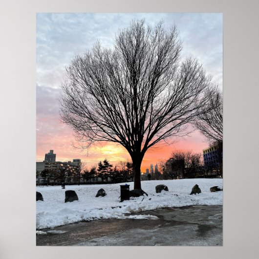 Philadelphia Snowy Sunset mit Baumposter Poster (Vorne)