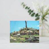 Philadelphia Zoo Postkarte (Stehend Vorderseite)