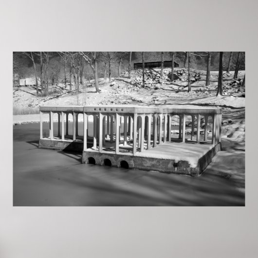 Philip Johnson's Glasshouse und Pavillion Poster (Vorne)
