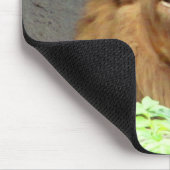 Philipper 4:13 und Männlicher Löwe Mauspad (Ecke)