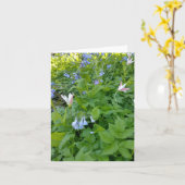 Philipper 4:4 Leere Karte (Gelbe Blume)