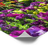 PHILIPPIANS 4:13 SCRIPTURE VERSE POSTER (Ecke)