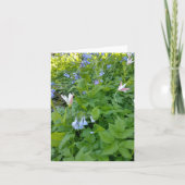 Philippians 4:4 Blank Card Karte (Vorderseite)