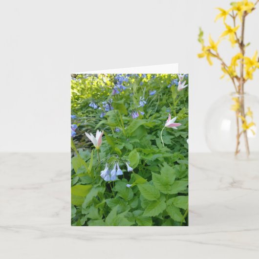 Philippians 4:4 Blank Card Karte (Gelbe Blume)