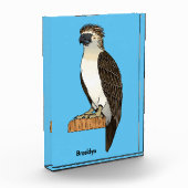 Philippine eagle bird cartoon illustration fotoblock (Links)