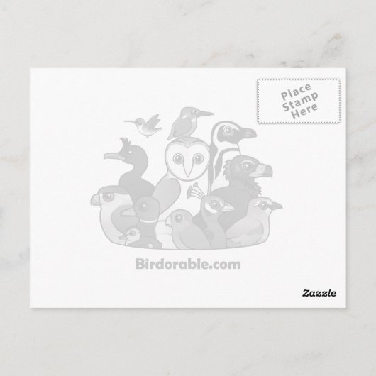 Philippine Eagle Postkarte (Rückseite)