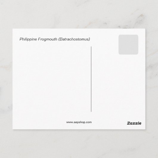 Philippine Frogmouth Postkarte (Rückseite)