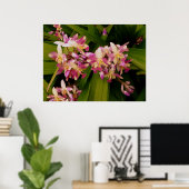 Philippine Ground Orchids Poster (Heimbüro)