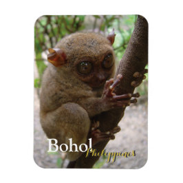 Philippine Tarsier aus Bohol Magnet