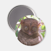 Philippine Tarsier Magnet (Vorderseite/Rückseite)
