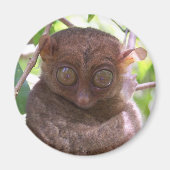 Philippine Tarsier Magnet (Vorne)