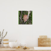 Philippine Tarsier Poster (Küche)