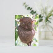Philippine Tarsier Postkarte (Stehend Vorderseite)