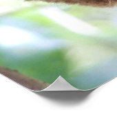 Philippine Tarsier Print Poster (Ecke)