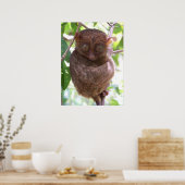 Philippine Tarsier Print Poster (Küche)