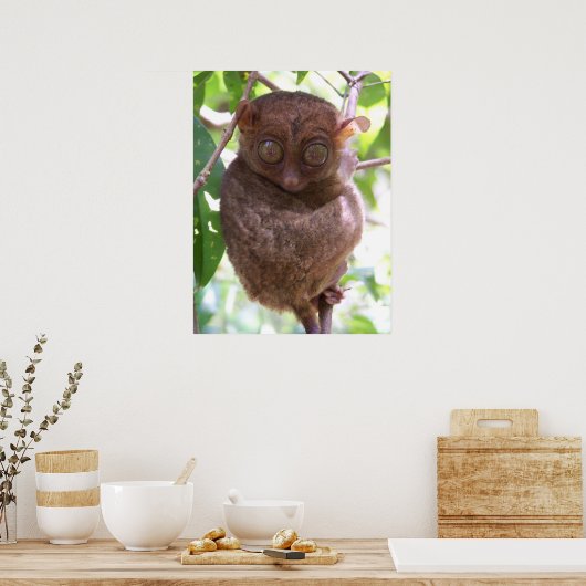 Philippine Tarsier Print Poster (Küche)