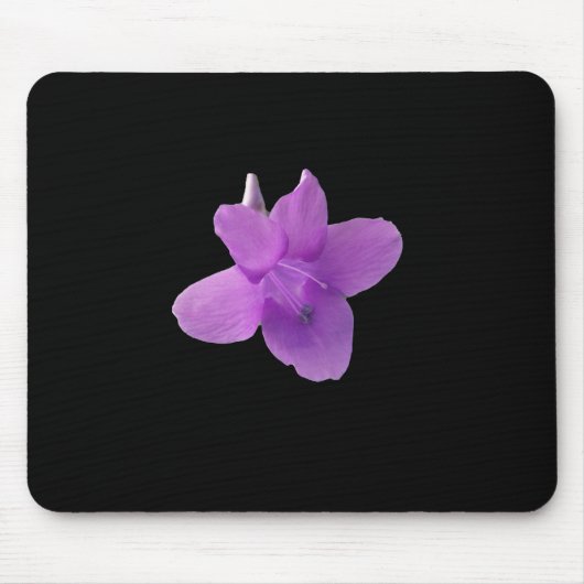 Philippine Violet auf schwarz Mousepad (Vorne)
