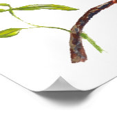 Philippine Zwarf Kingfisher Endemic Bird Poster (Ecke)